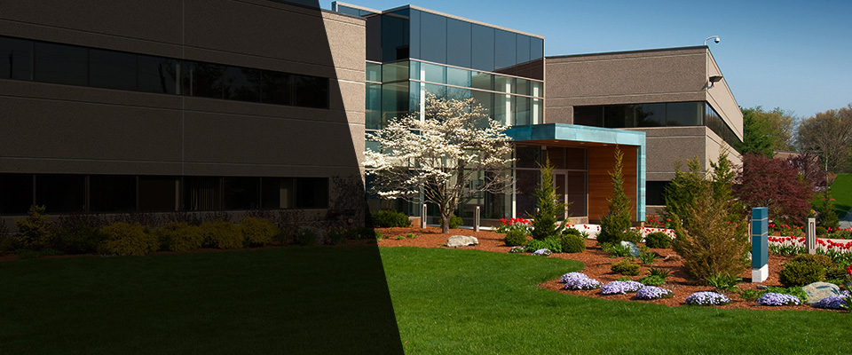 North Las Vegas Landscapers