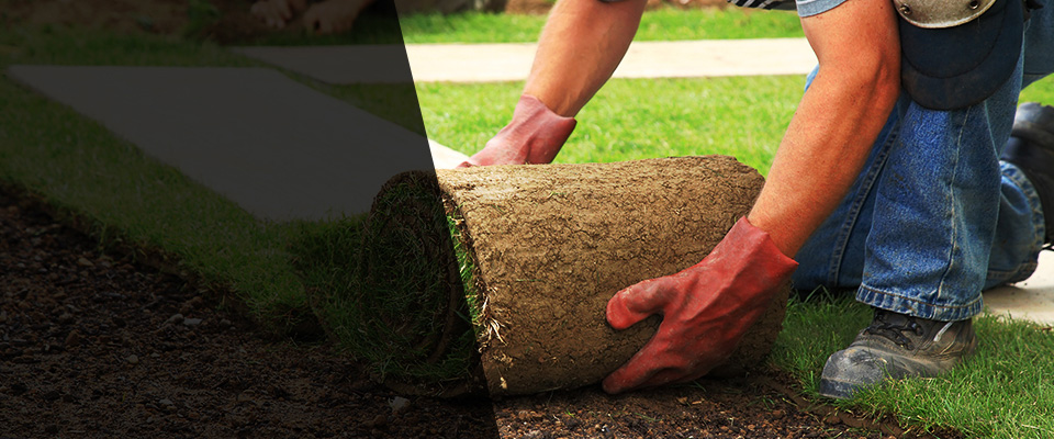 North Las Vegas Landscapers